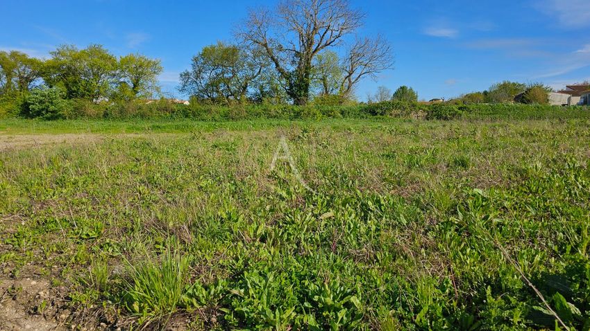 Image de terrain à Breuil-Magné