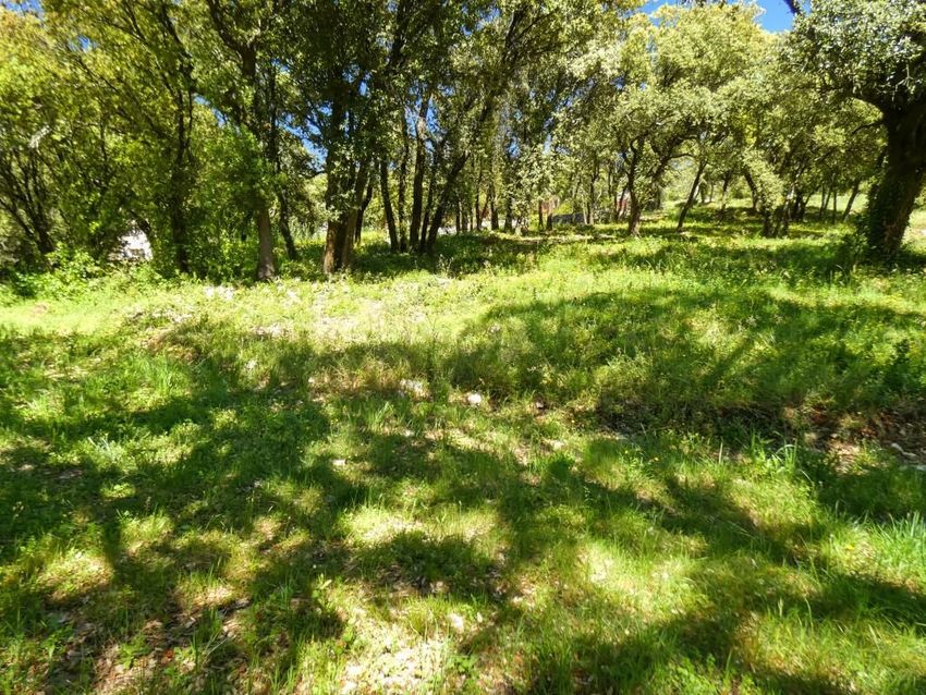 Image de terrain à Uzès