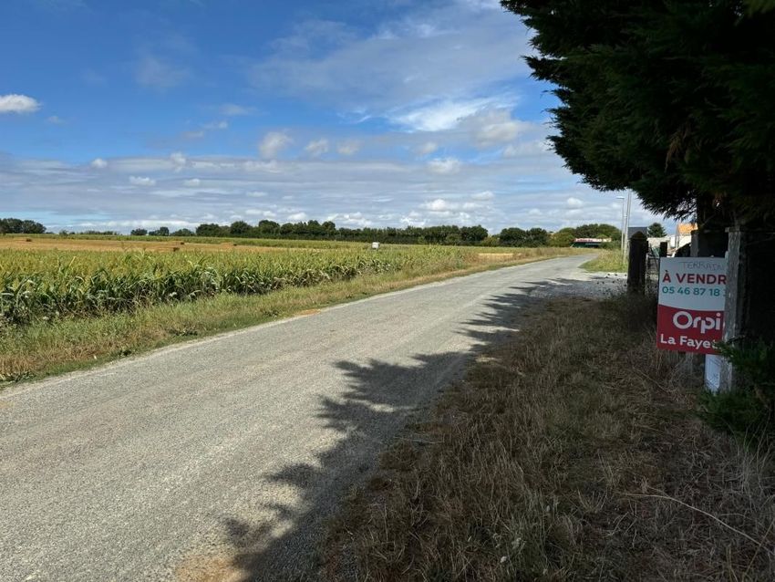 Image de terrain à Muron