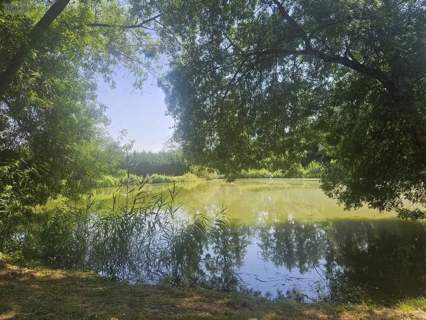 Image de terrain à Vaas