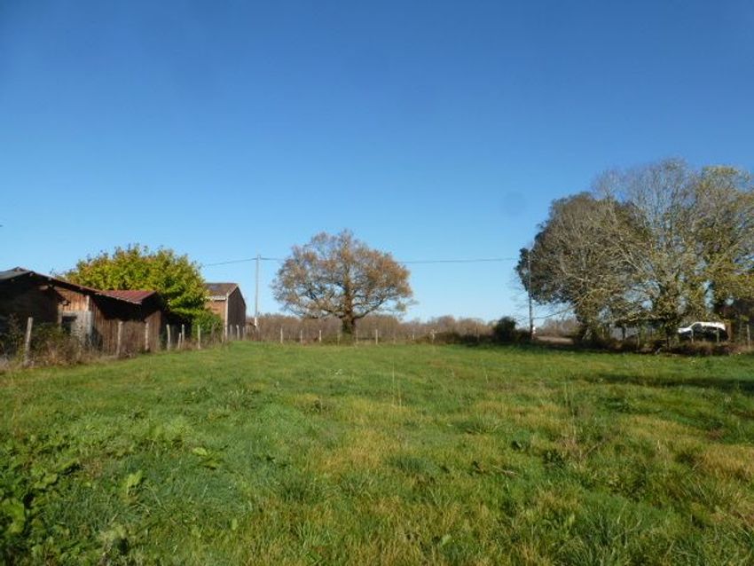 Image de terrain à Saint-Genès-de-Lombaud