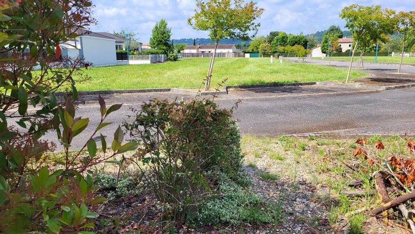 Image de terrain à Boé