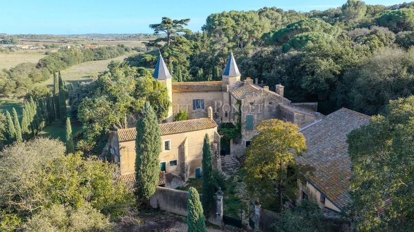 Image Façade à  maison de maître de Pézenas