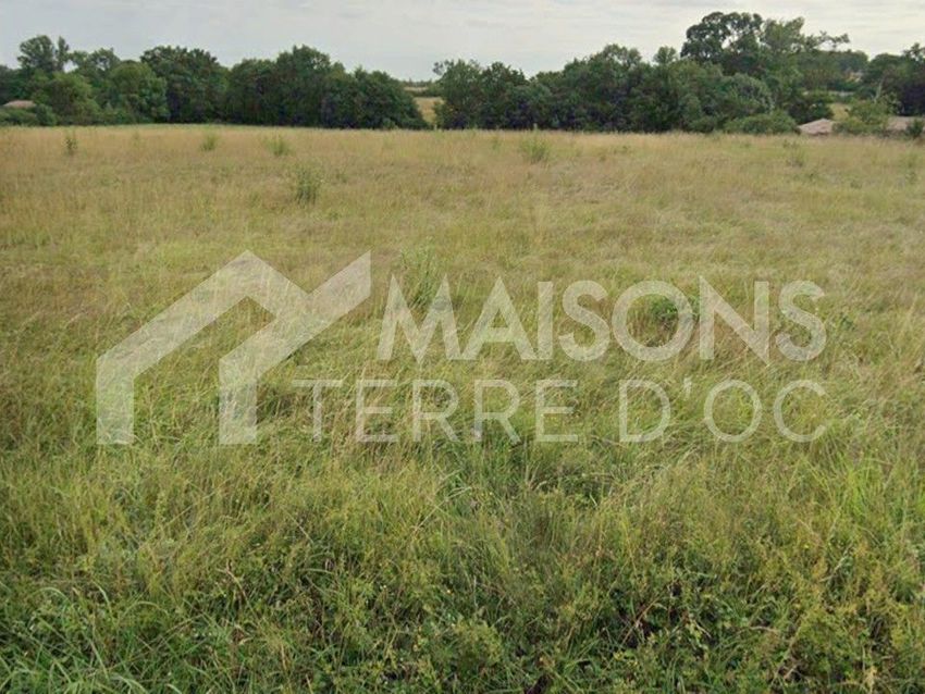 Image de terrain à Saint-Lys