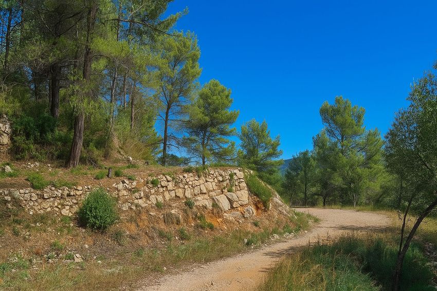 Image de terrain à Solliès-Toucas