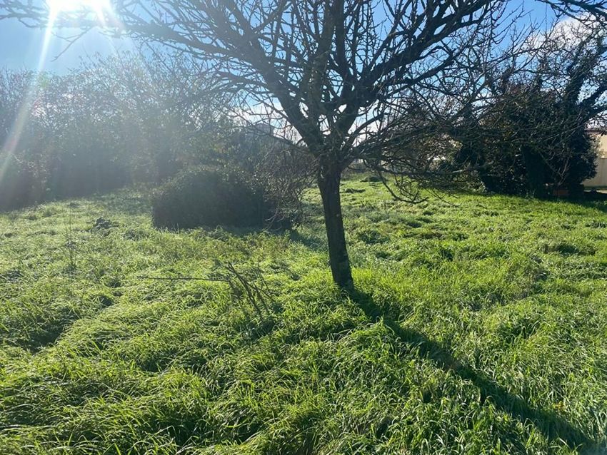 Image de terrain à Tonnay-Charente