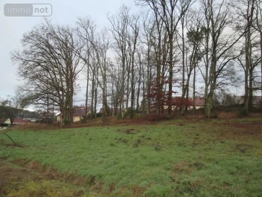 Image de terrain à Saint-Julien-sur-Cher