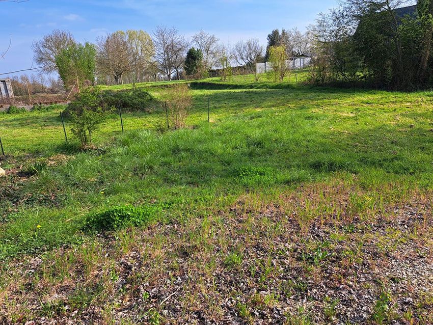 Image de terrain à Corzé