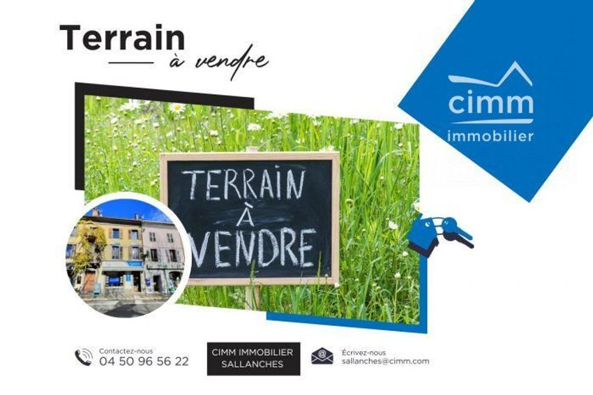Image de terrain à Domancy