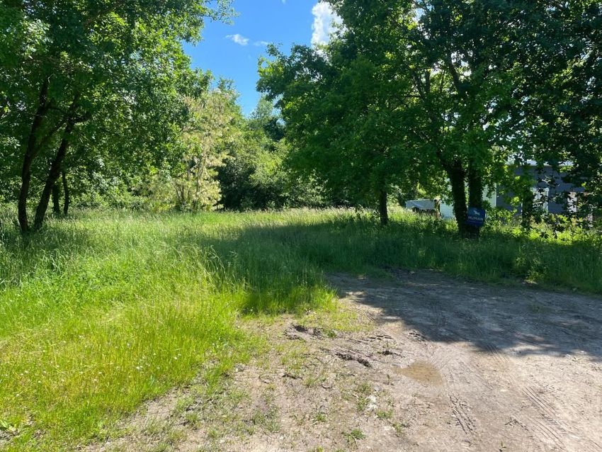 Image de terrain à La Tremblade