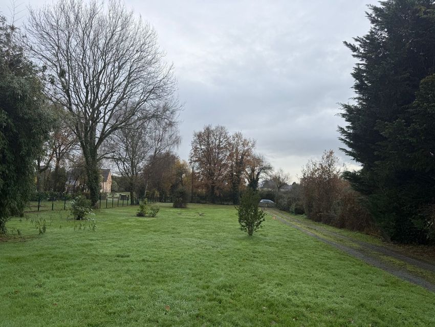 Image de terrain à Plessé
