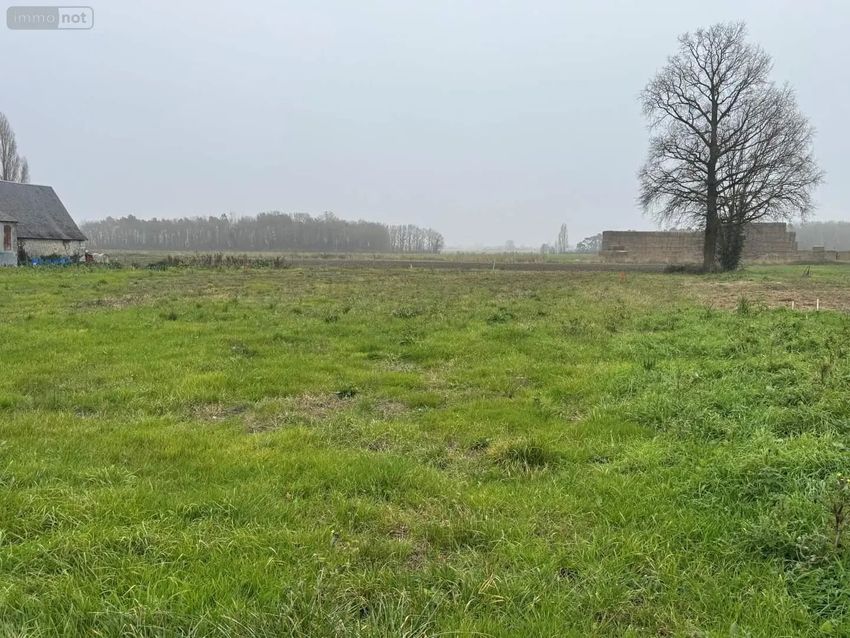 Image de terrain à Le Louroux
