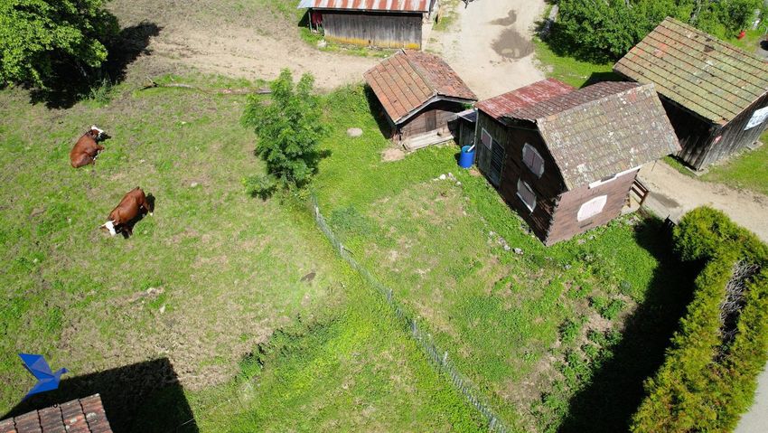 Image de terrain à Nancy-sur-Cluses
