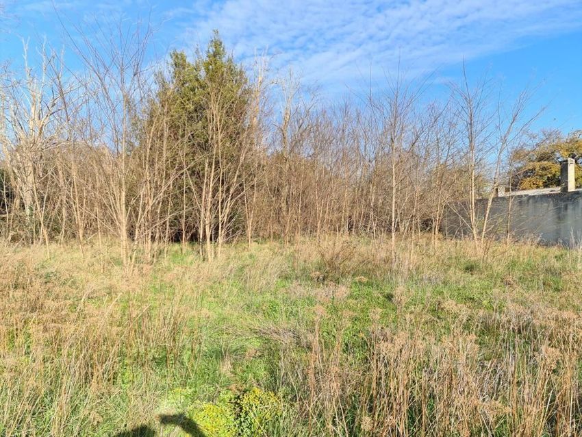 Image de terrain à Grayan-et-l'Hôpital
