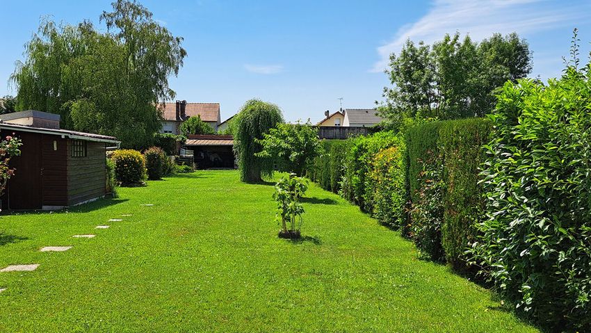 Image Jardin à  maison individuelle de Le Mesnil-Saint-Denis