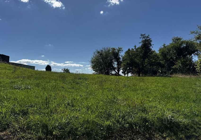 Image de terrain à Lomont