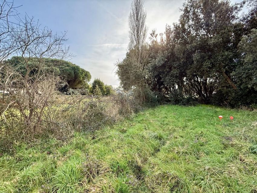 Image de terrain à Le Grand-Village-Plage