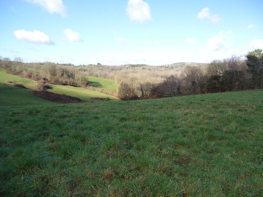 Image de terrain à Saint-Bonnet-la-Rivière