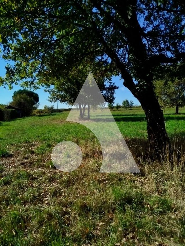 Image de terrain à Vélines