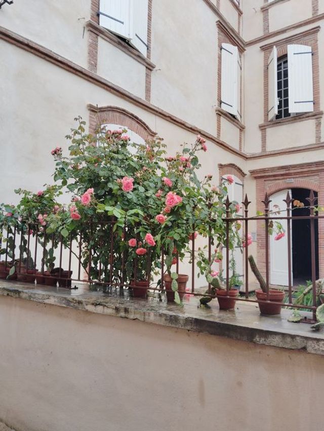 Image de appartement à Lisle-sur-Tarn
