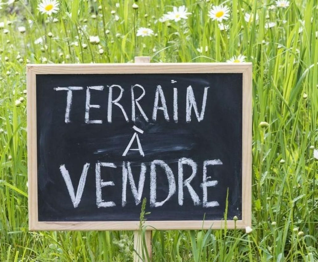 Image de terrain à Saint-Éloy-de-Gy