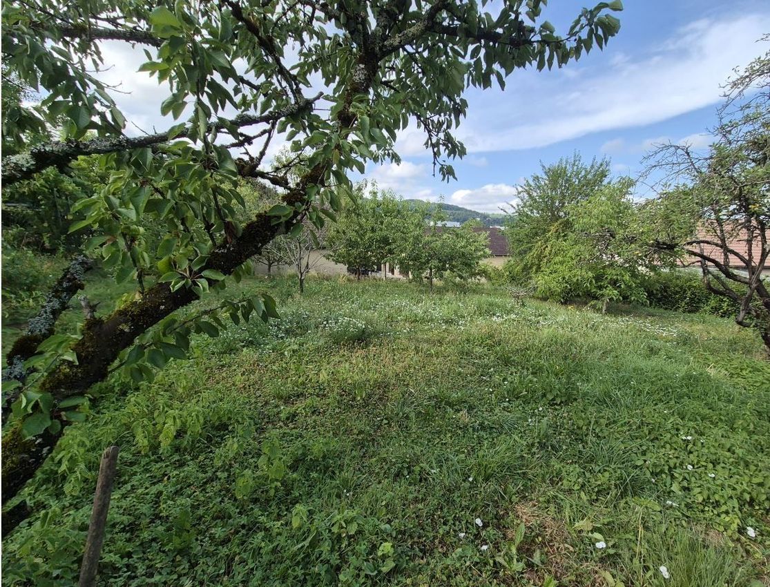 Image de terrain à Lons-le-Saunier