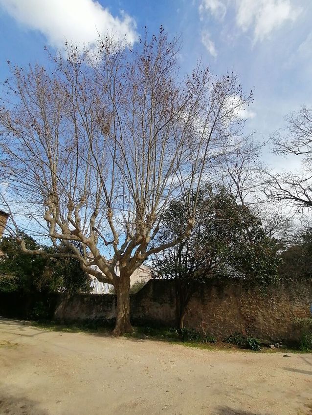 Image de terrain à Le Beausset