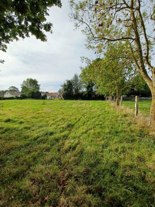 Image de terrain à Tours-en-Vimeu