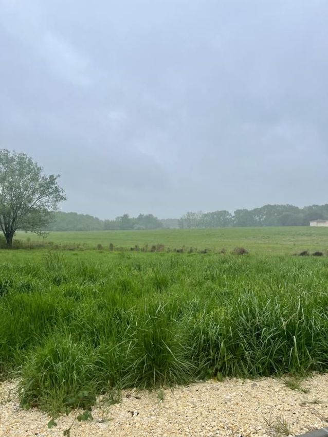 Image de terrain à Baron