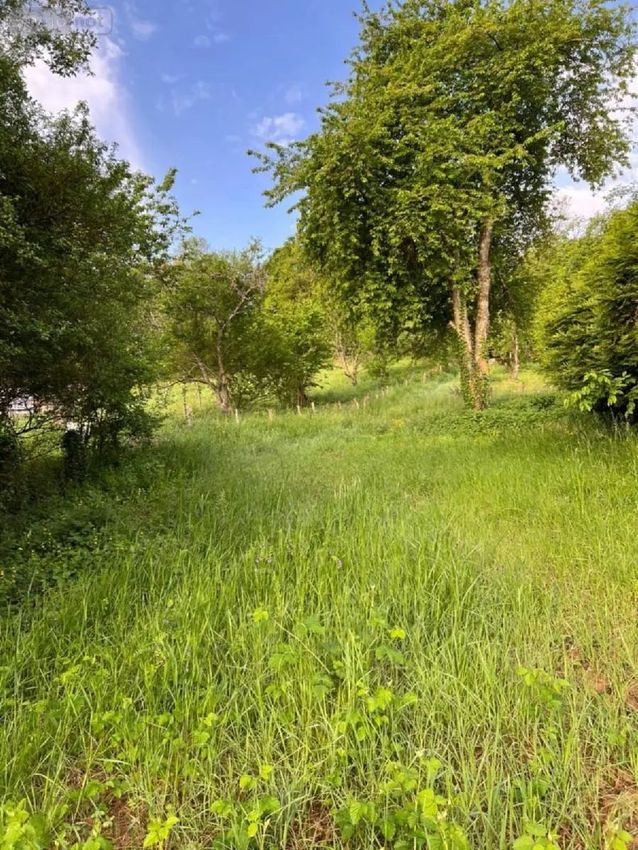 Image de terrain à Quincey
