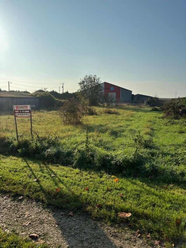 Image de terrain à Torcy-le-Grand