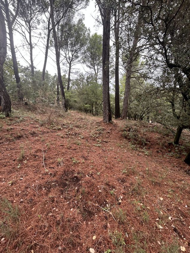 Image de terrain à Saint-Saturnin-lès-Apt
