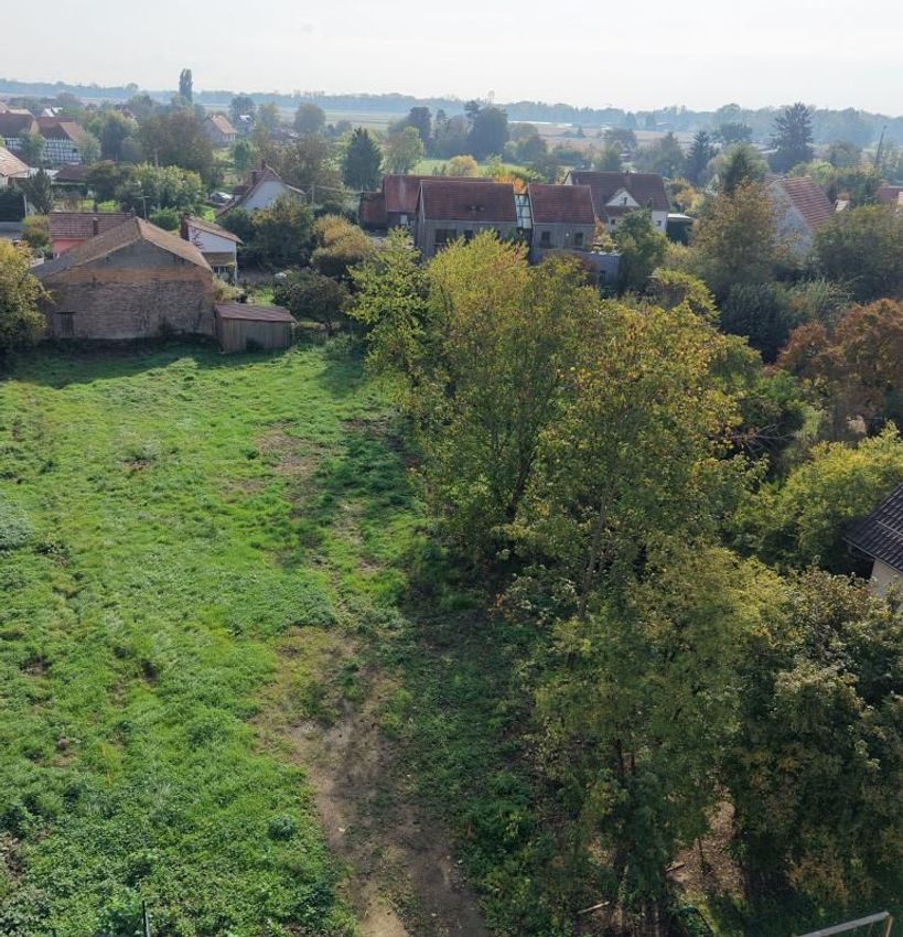Image de terrain à Geispolsheim