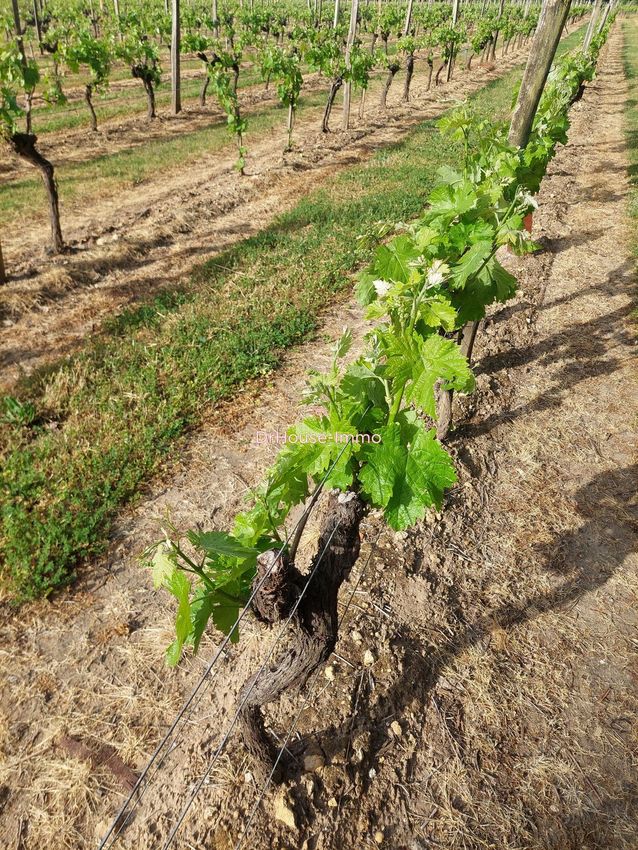 Image de terrain à Meursac