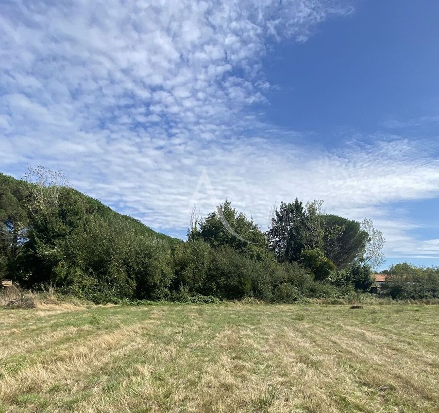 Image Vue à terrain de Talmont-Saint-Hilaire