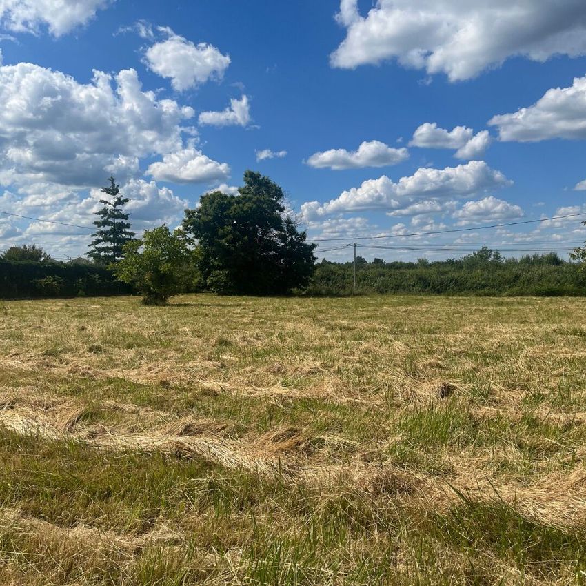 Image Vue à terrain de Montpon-Ménestérol