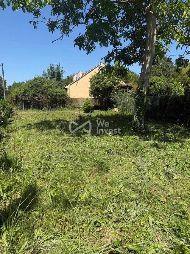 Image de terrain à La Celle-sur-Morin