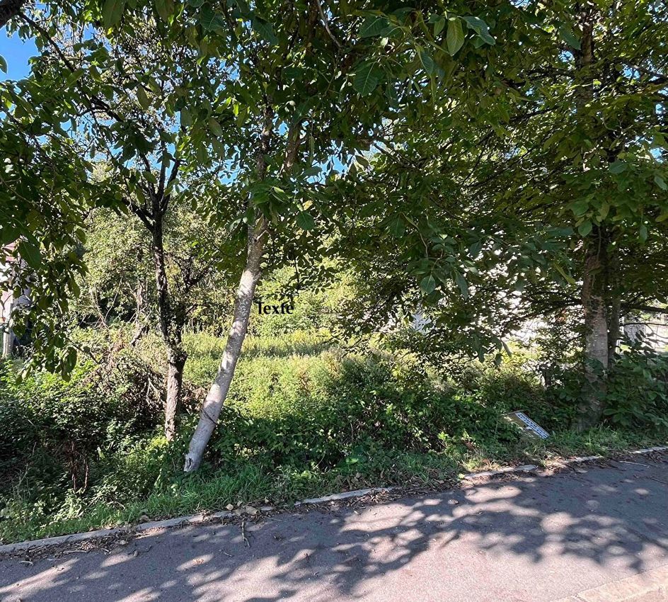 Image de terrain à Souppes-sur-Loing