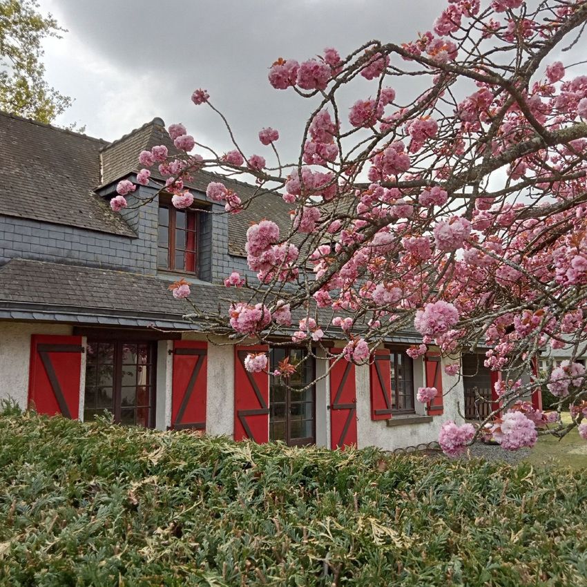 Image Façade à  maison individuelle de Éréac