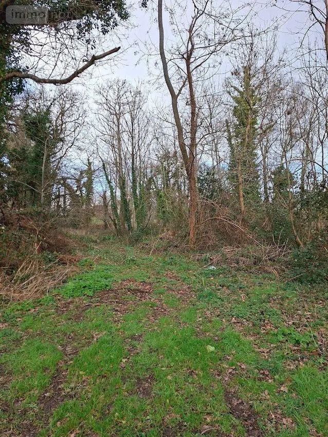 Image de terrain à Clohars-Carnoët