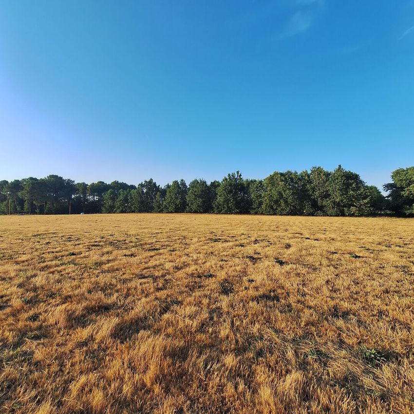 Image de terrain à Créon