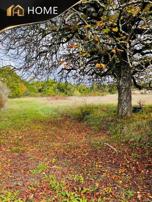 Image de terrain à Loupes