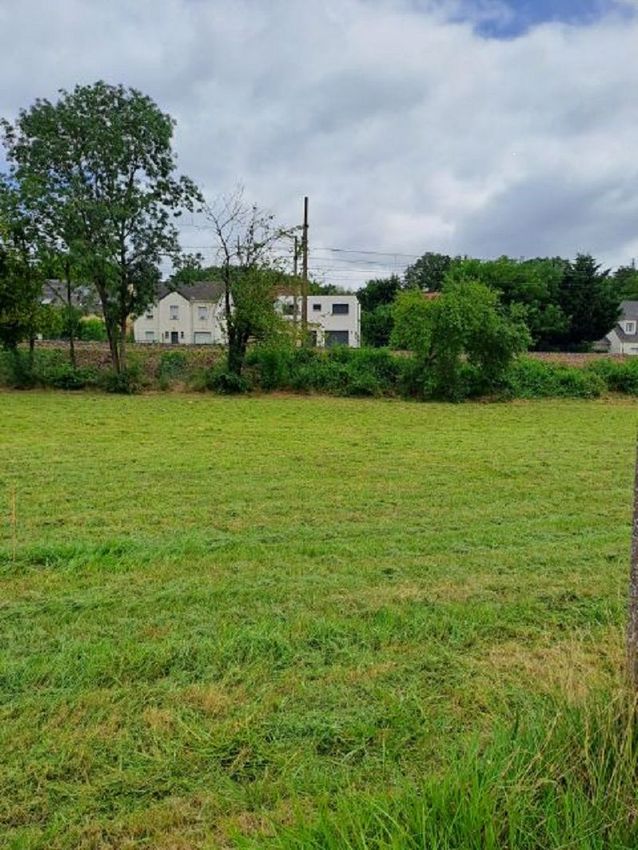 Image de terrain à Samoreau