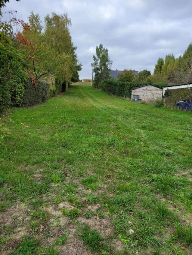 Image de terrain à Neuillé-le-Lierre