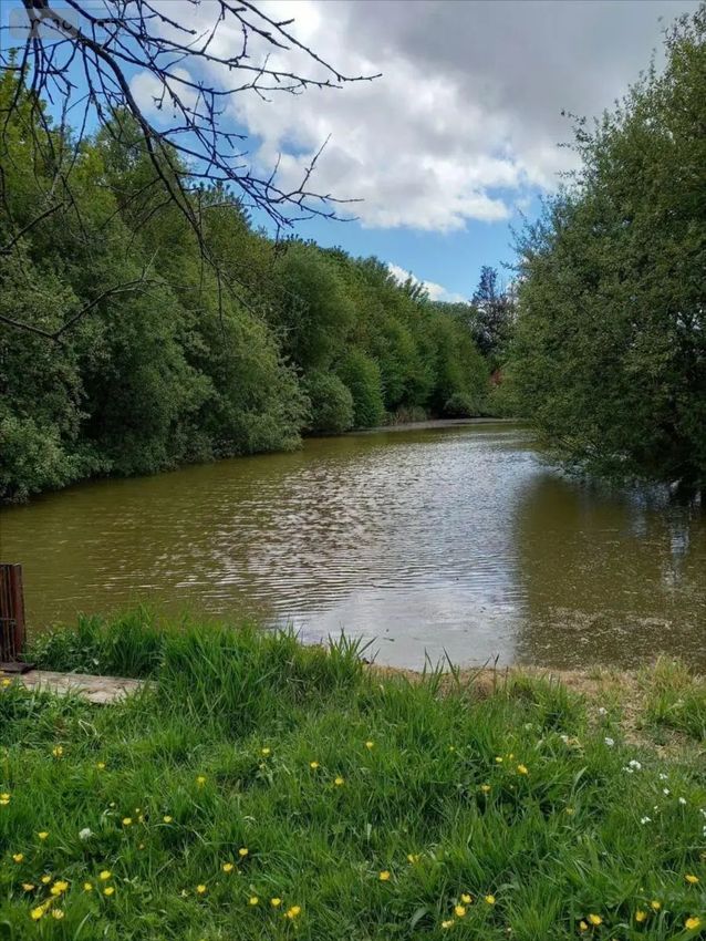 Image de terrain à La Pellerine