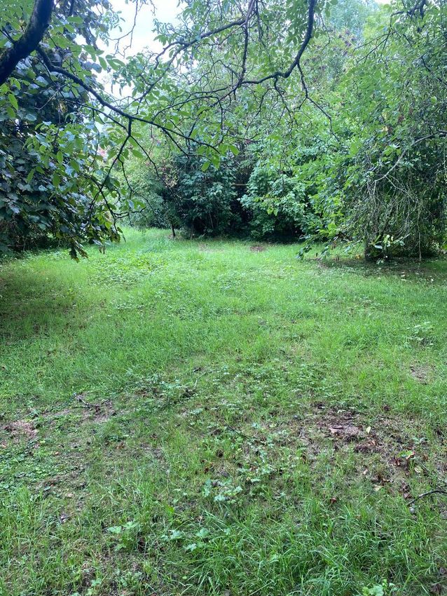 Image de terrain à Béthemont-la-Forêt