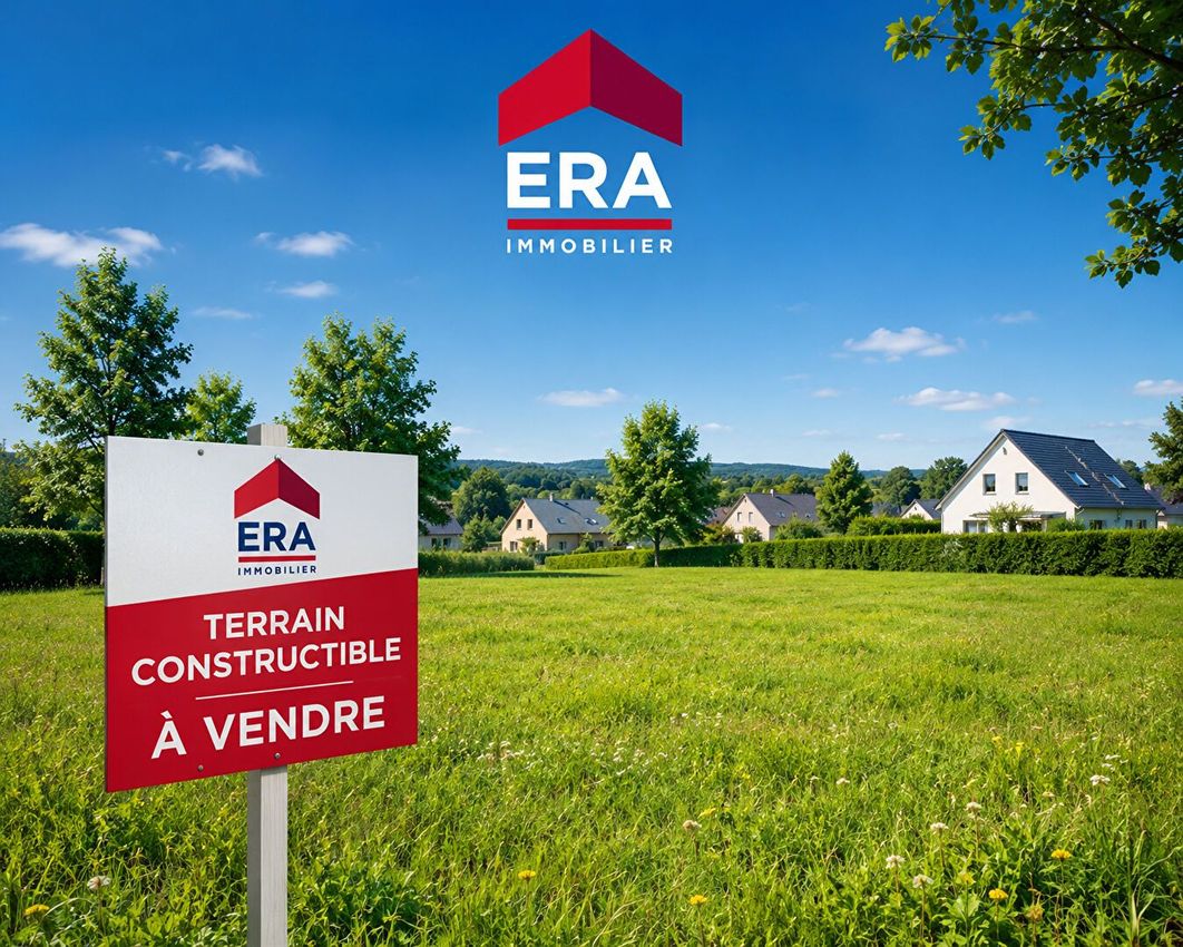 Image de terrain à Coulaines