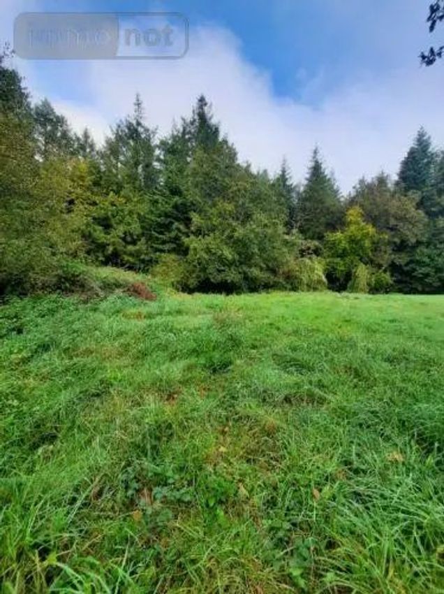 Image de terrain à La Chapelle-Bouëxic