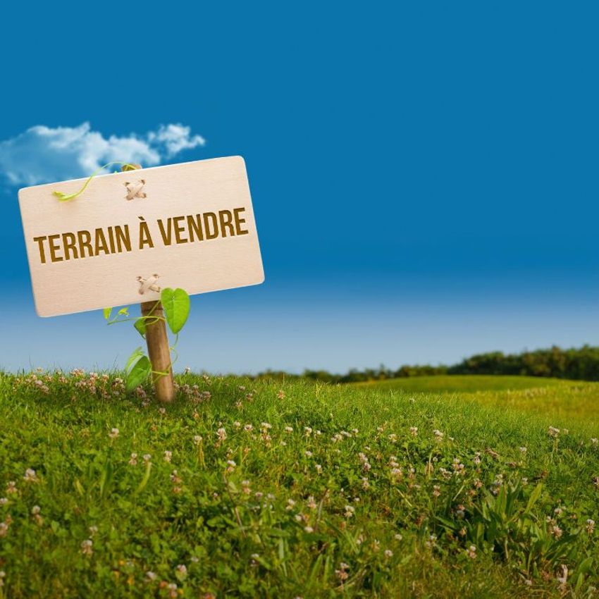 Image de terrain à Dommartin-le-Franc
