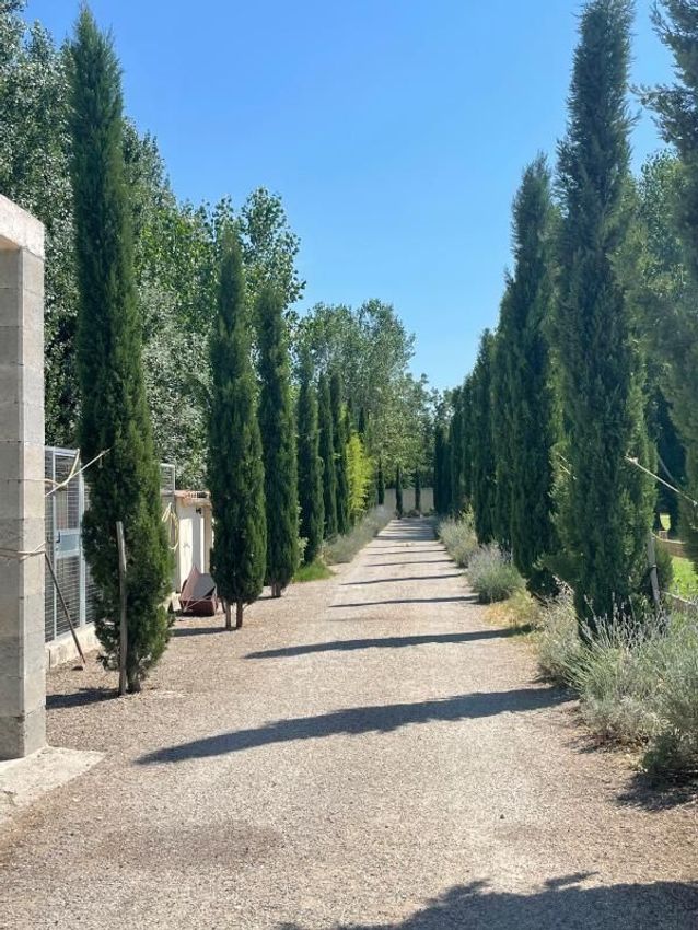 Image Jardin à  maison individuelle de Bédarrides